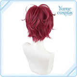 魔法使いの約束 クロエ Chloe コスプレウィッグ F-1452