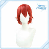 pandora-hearts-alice-cosplay-wig-f-6230