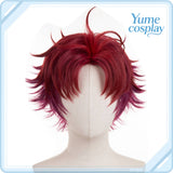 pandora-hearts-alice-cosplay-wig-f-6230