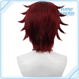 ツイステッドワンダーランド ギデル Gidel コスプレウィッグ F-3997