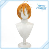 pandora-hearts-alice-cosplay-wig-f-6230