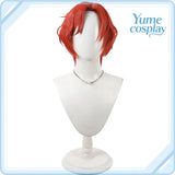 pandora-hearts-alice-cosplay-wig-f-6230
