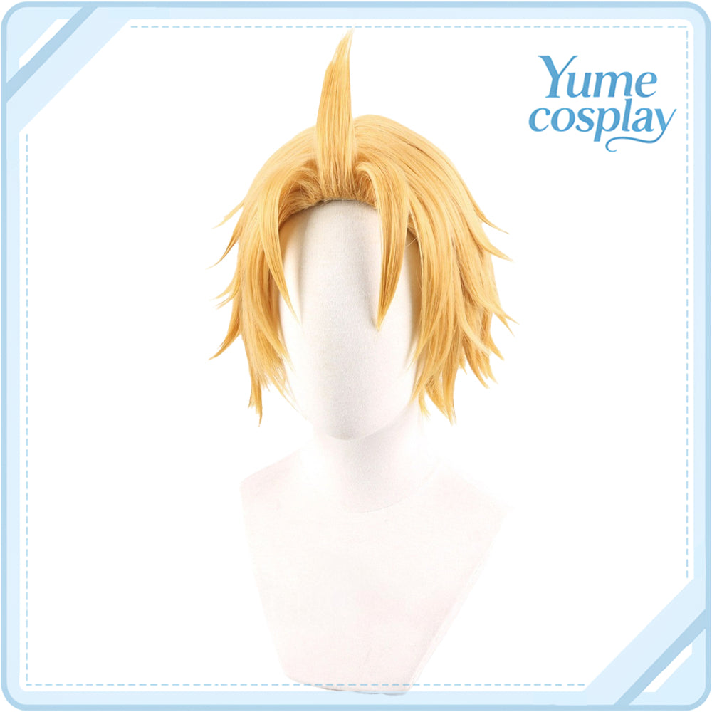 pandora-hearts-alice-cosplay-wig-f-6230
