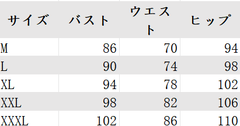 レディース セットアップ 文芸レトロスタイル 民族風デザイン トップス＋パンツ 2点セット ゆったりシルエット 体型カバー 着痩せ効果 上品ナチュラル おしゃれ デイリー リラックス トレンド人気コーデ NY031