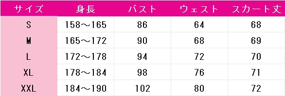春夏秋冬代行者　姫鷹さくら　コスプレ衣装　DM11336