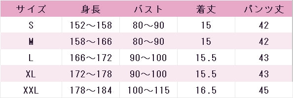 バーチャルYouTuber　VTuber　白銀ノエル　水着　ホロライブ　ドリームス　コスプレ衣装　DM11974