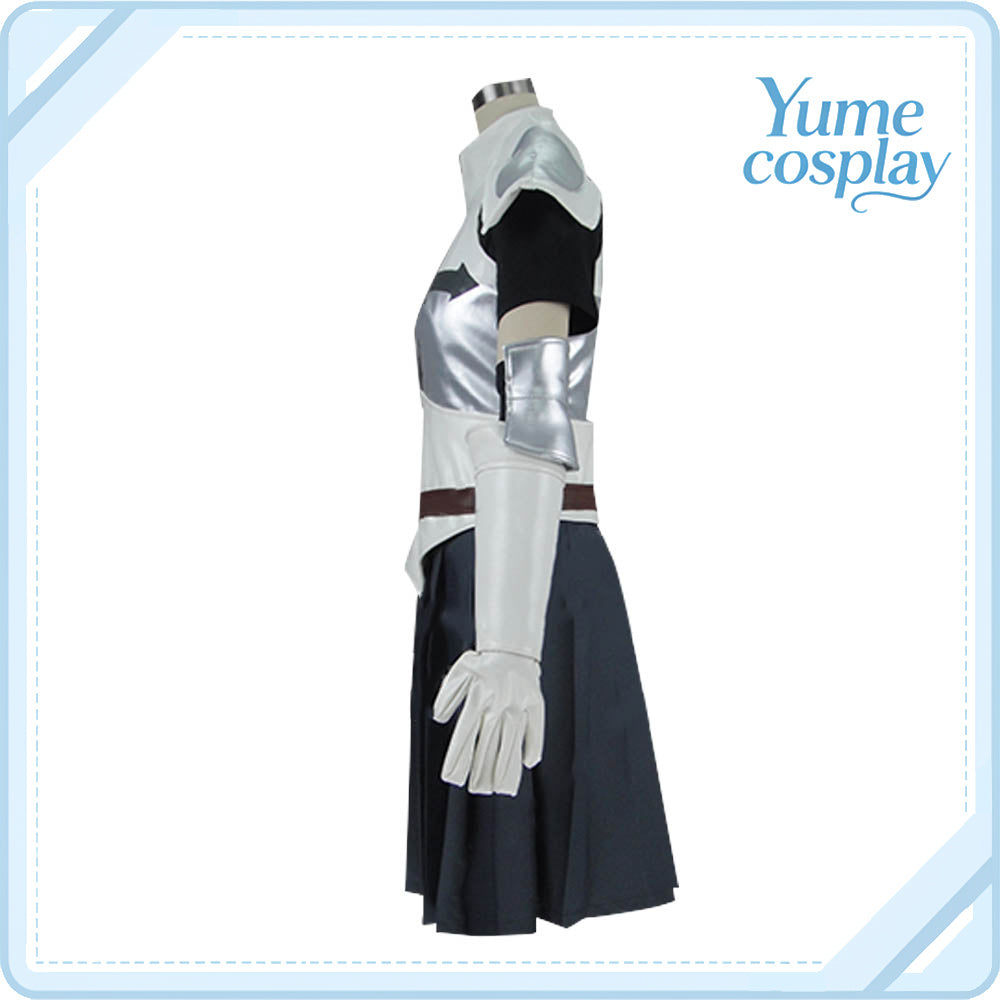 劇場版FAIRY　TAIL　-DRAGON　CRY-　エルザ・スカーレット　コスプレ衣装　DM768