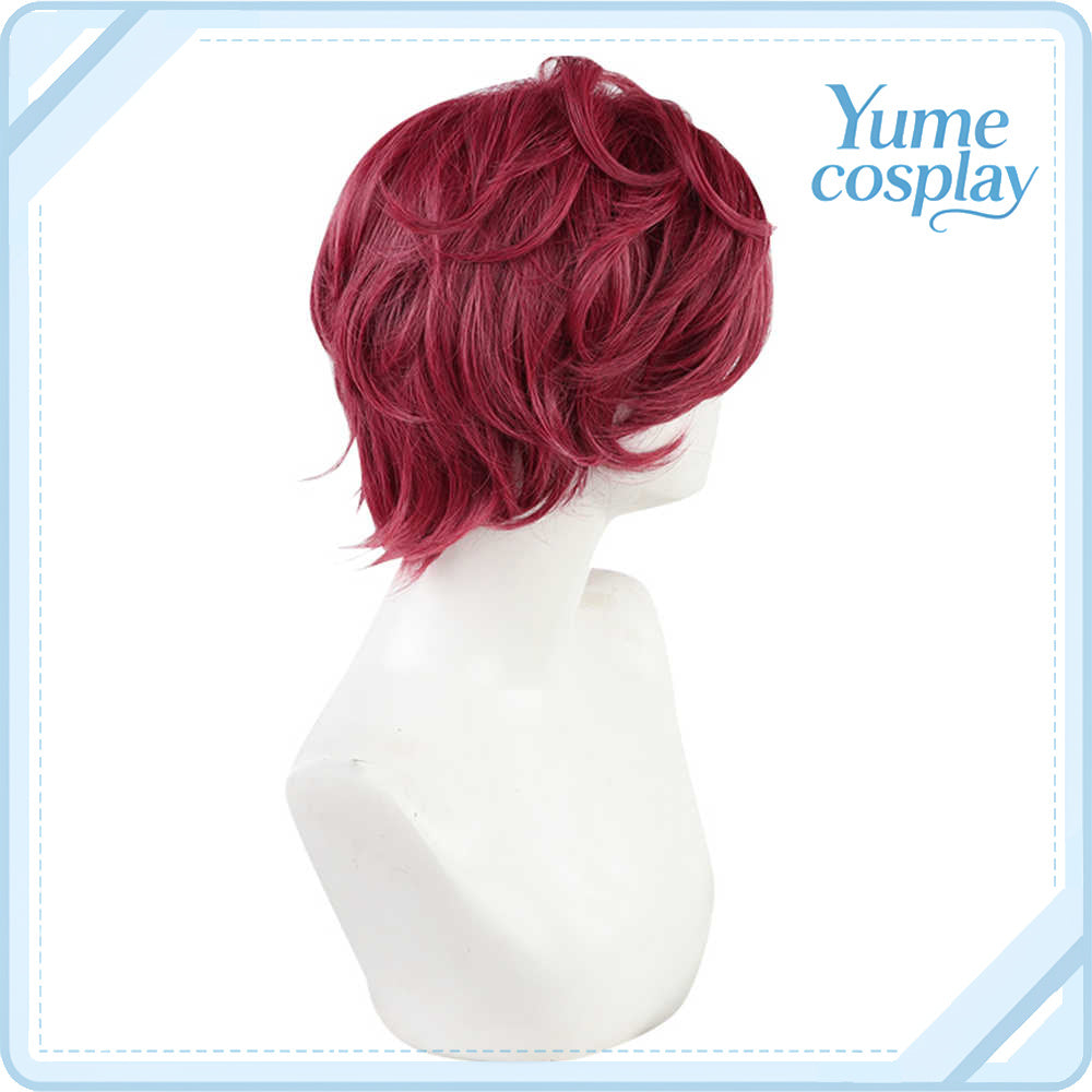 魔法使いの約束　クロエ　Chloe　コスプレウィッグ　F-1452
