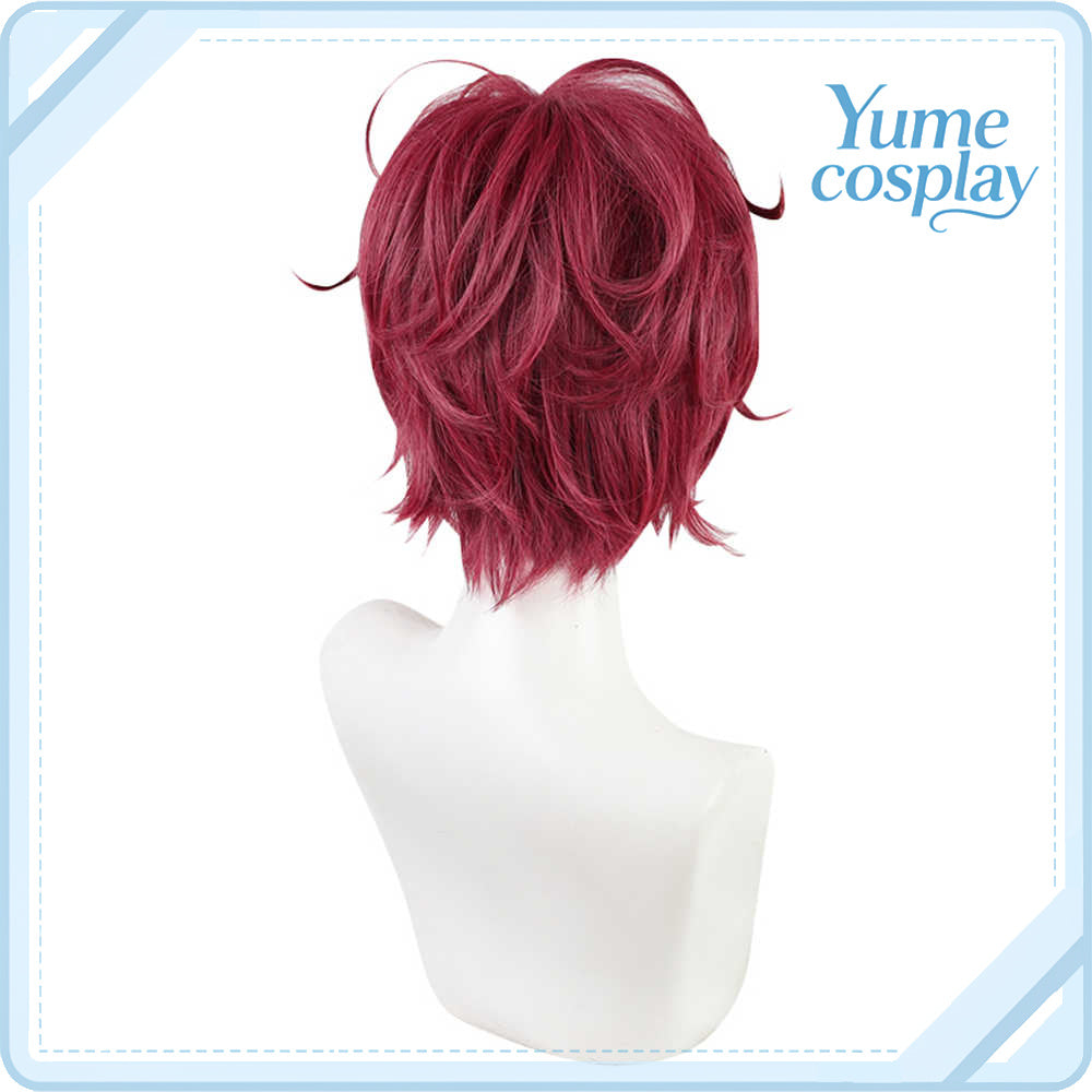 魔法使いの約束　クロエ　Chloe　コスプレウィッグ　F-1452