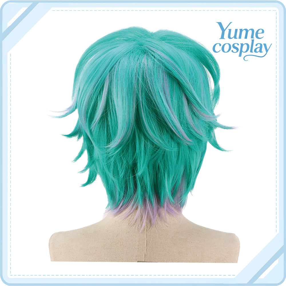 カリスマ　湊大瀬　コスプレウィッグ　F-4260