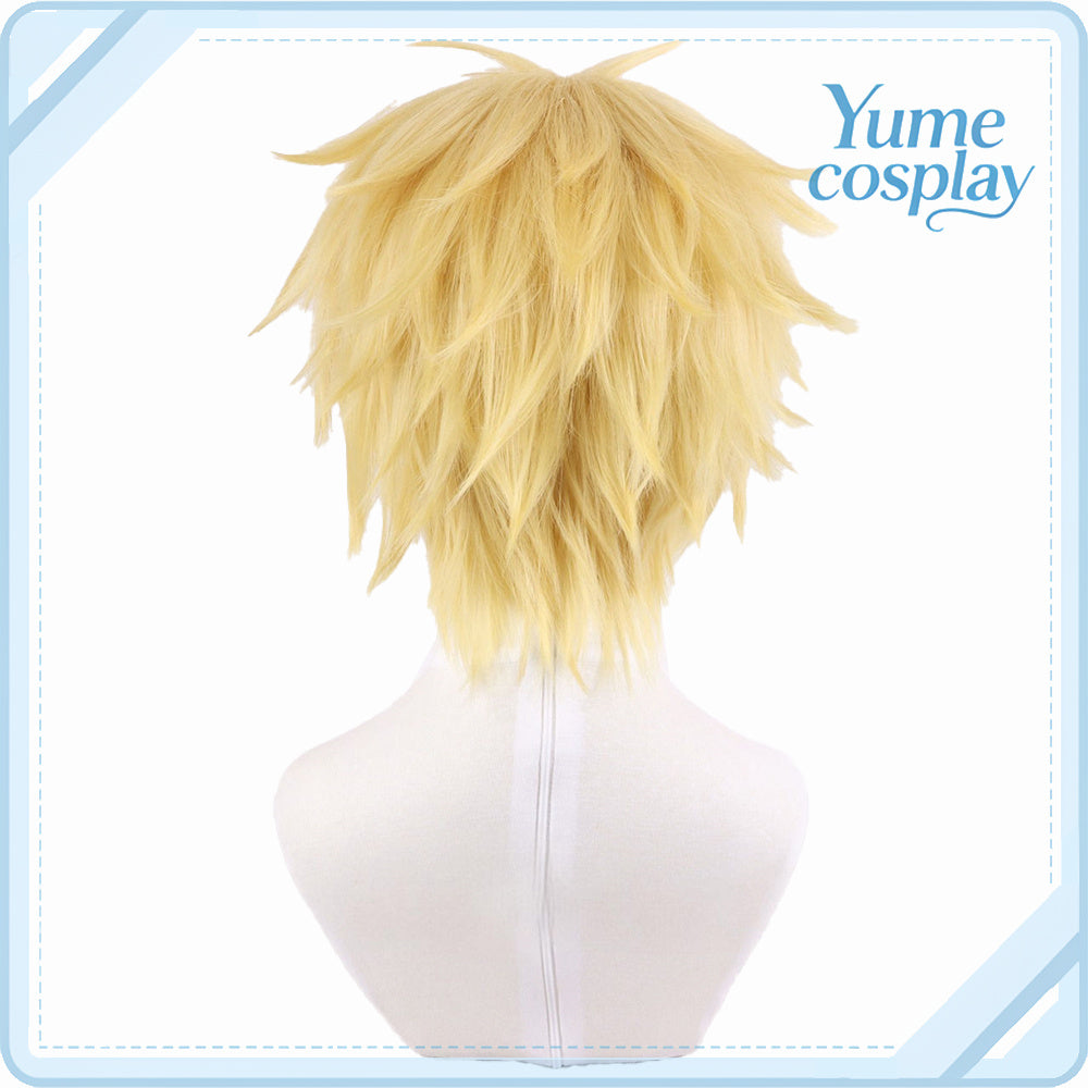 会長はメイド様!　碓氷拓海　コスプレウィッグ　F-5714