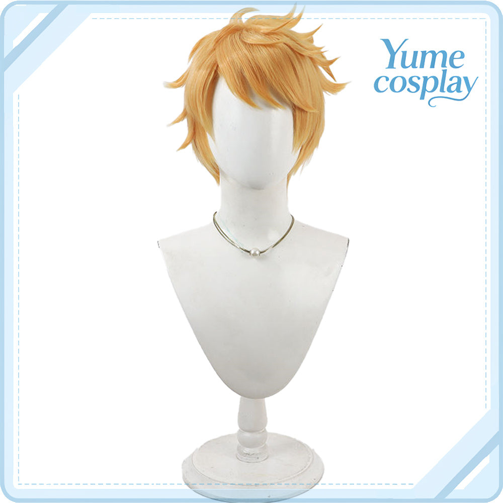pandora-hearts-alice-cosplay-wig-f-6230